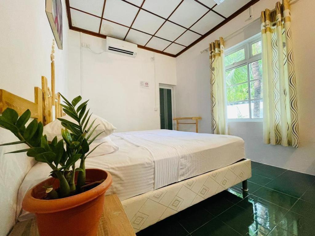 Fehendhoo Stay Extérieur photo